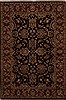 Agra Black Hand Knotted 41 X 60 Area Rug 251-12895 Thumb 0
