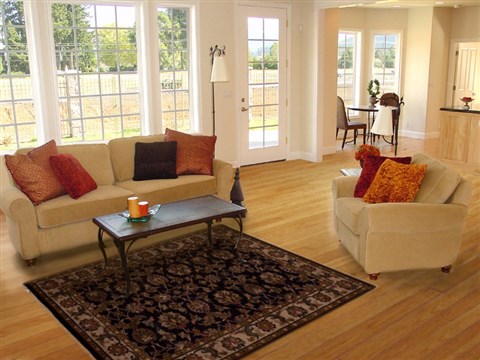 Agra Blue Hand Knotted 41 X 60 Area Rug 251-12905 Image 5