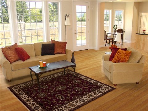 Agra Red Hand Knotted 40 X 60 Area Rug 251-12906 Image 5