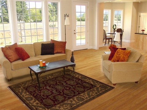 Agra Red Hand Knotted 41 X 60 Area Rug 251-12908 Image 5