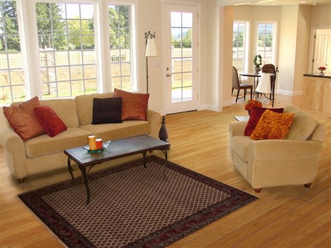 Agra Red Hand Knotted 311 X 511 Area Rug 251-12913 Image 5