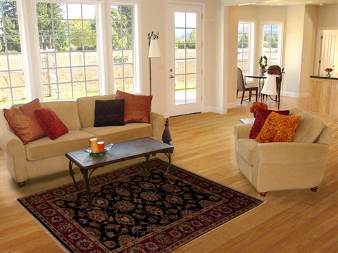 Agra Black Hand Knotted 42 X 61 Area Rug 251-12922 Image 5