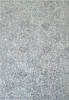 Dynamic ANCIENT GARDEN Grey 92 X 1210 Area Rug AN1014571629646 801-120044 Thumb 0