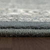 Dynamic ANCIENT GARDEN Grey 311 X 57 Area Rug AN46572045666 801-120048 Thumb 3