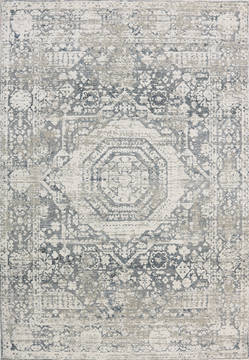 Dynamic ASTORIA Beige 4'0" X 5'7" Area Rug AT463371190 801-120090