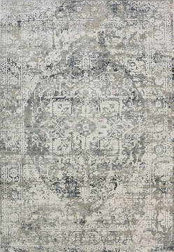 Dynamic ASTORIA Beige 4'0" X 5'7" Area Rug AT463372190 801-120097