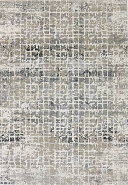 Dynamic ASTORIA Grey Rectangle 4x6 ft Polypropylene and Polyester Carpet 120111