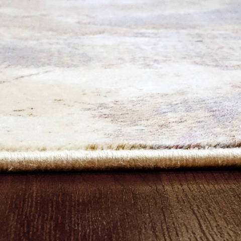 Dynamic BLOSSOM Beige 67 X 96 Area Rug BS7106514199 801-120301 Image 2