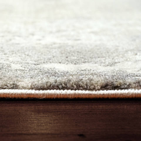 Dynamic CASTILLA Beige 67 X 96 Area Rug CC7103535190 801-120482 Image 2