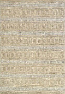 Dynamic COASTAL Beige 3'11" X 5'7" Area Rug CQ463856810 801-120646