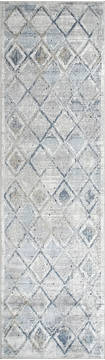 Dynamic MOSAIC Beige Runner 2'2" X 7'7" Area Rug MO281666115 801-121827