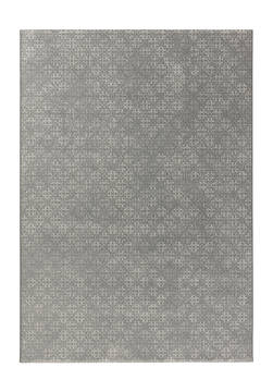 Dynamic MYSTERIO Grey 2'0" X 3'11" Area Rug MS2412222506 801-121877