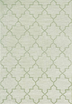 Dynamic NEWPORT Green Rectangle 4x6 ft  Carpet 121890