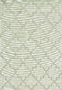 Dynamic NEWPORT Green 53 X 77 Area Rug NW69960034001 801-121891 Thumb 0