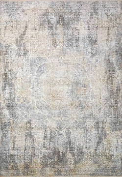 Dynamic NIRVANA Grey Rectangle 4x6 ft Polyester and Viscose Carpet 121960