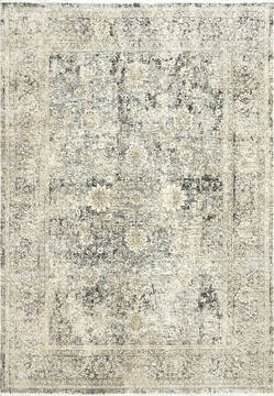 Dynamic NIRVANA Beige 4'0" X 5'6" Area Rug NI461950190 801-121980