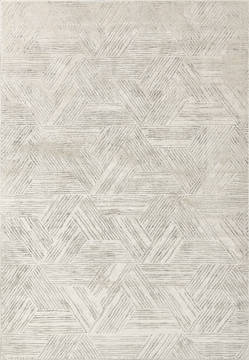 Dynamic QUARTZ Grey Rectangle 2x4 ft  Carpet 122431