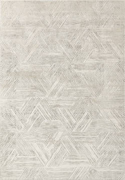 Dynamic QUARTZ Grey Rectangle 2x4 ft  Carpet 122431
