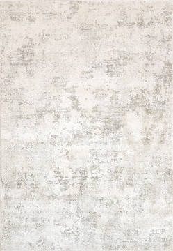 Dynamic QUARTZ Grey Rectangle 2x4 ft  Carpet 122501
