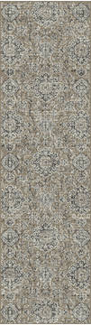 Dynamic REGAL Beige Runner 2'2" X 7'7" Area Rug RG28896652959 801-122534