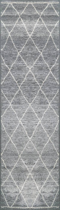 Dynamic SHERPA Grey Runner 22 X 77 Area Rug SP28490044262 801-122667 Image 0