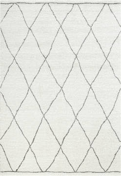 Dynamic SHERPA White Rectangle 5x8 ft  Carpet 122672