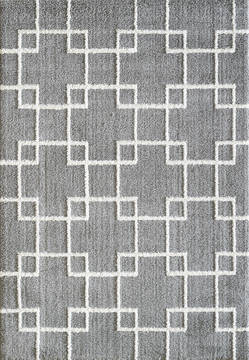 Dynamic SILKY SHAG Grey Rectangle 2x3 ft  Carpet 122699