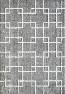 Dynamic SILKY SHAG Grey 2'0" X 3'3" Area Rug SI245901901 801-122699