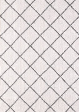 Dynamic SILKY SHAG White Rectangle 2x3 ft  Carpet 122729