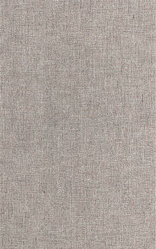 Dynamic SONOMA Beige Rectangle 5x8 ft  Carpet 122762