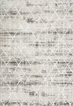 Dynamic TROYA Grey Rectangle 4x6 ft  Carpet 122929