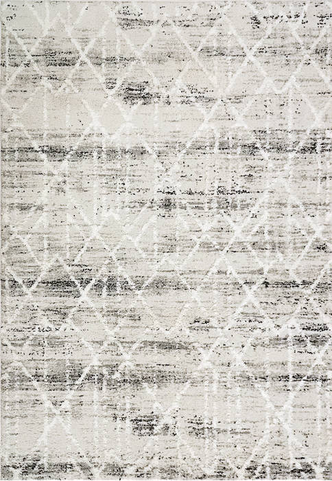 Dynamic TROYA Grey 710 X 1010 Area Rug TY9124604910 801-122931 Image 0