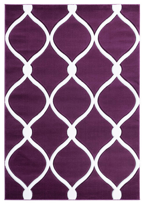 United Weavers Bristol Purple 50 X 70 Area Rug 2050 11582 69 806-123897 Image 0