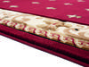 United Weavers Bristol Red 70 X 100 Area Rug 2050 11634 912 806-123917 Thumb 4