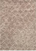 Couristan BROMLEY Beige 53 X 76 Area Rug 43150600053076T 807-125589 Thumb 0