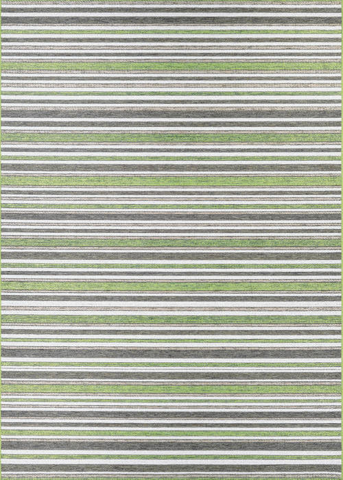 Couristan CAPE Green 53 X 76 Area Rug 14030001053076T 807-125726 Image 0