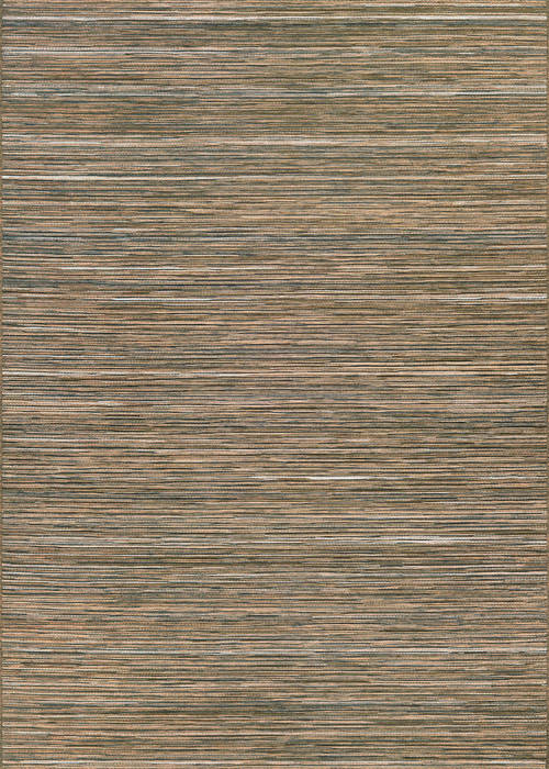 Couristan CAPE Brown 53 X 76 Area Rug 14070029053076T 807-125817 Image 0