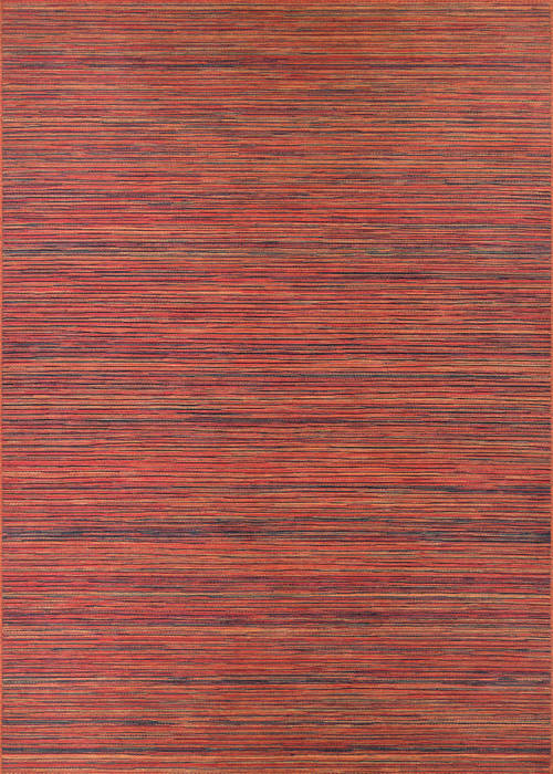 Couristan CAPE Red 20 X 37 Area Rug 14070066020037T 807-125820 Image 0