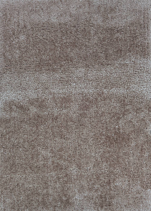 Couristan CLINTON HILL SHAG Brown 53 X 80 Area Rug 41440800053080T 807-126069 Image 0