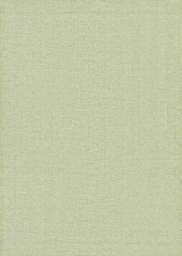 Couristan COTTAGES Green Rectangle 2x3 ft Hand Woven Carpet 126103
