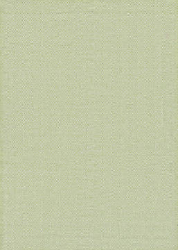 Couristan COTTAGES Green Rectangle 2x3 ft Hand Woven Carpet 126103