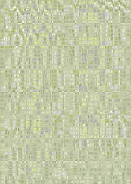 Couristan COTTAGES Green 5'0" X 8'0" Area Rug 49620731050080T 807-126106