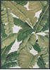 Couristan DOLCE Green 23 X 311 Area Rug 75060004023311T 807-126382 Thumb 0