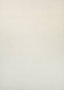 Couristan NATURE-S ELEMENTS White Rectangle 2x3 ft Cotton and Jute Carpet 127515