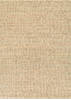 Couristan NATURES ELEMENTS Brown 30 X 50 Area Rug 72320442030050T 807-127540 Thumb 0
