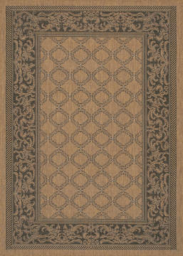 Couristan RECIFE Brown Rectangle 6x9 ft Polypropylene Carpet 127988