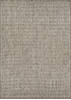 Couristan RECIFE Brown 39 X 55 Area Rug 10012312039055T 807-128116 Thumb 0