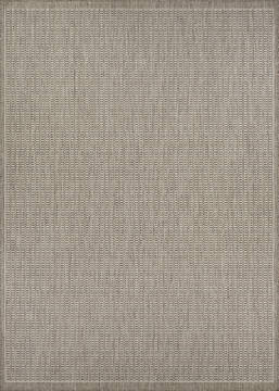 Couristan RECIFE Brown Rectangle 6x9 ft Polypropylene Carpet 128119