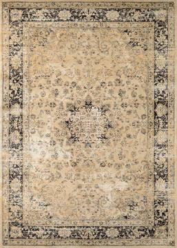 Couristan ZAHARA Beige Rectangle 8x11 ft Polypropylene Carpet 128823