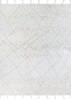 Couristan LIMA Beige 20 X 40 Area Rug 23393339020040T 807-128924 Thumb 0